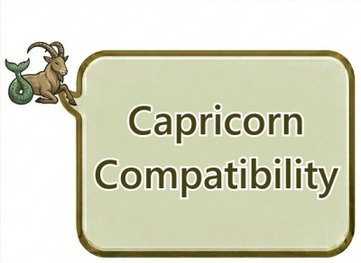 Capricorn Compatibility: Best and Challenging Zodiac Matches in Love and Relationships